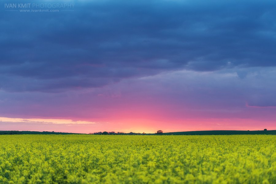 Field01