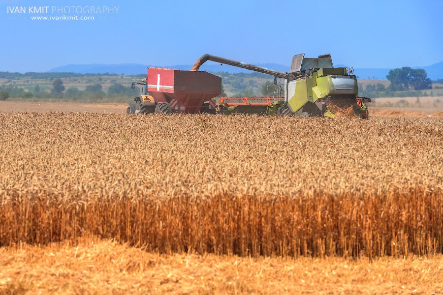 Field05