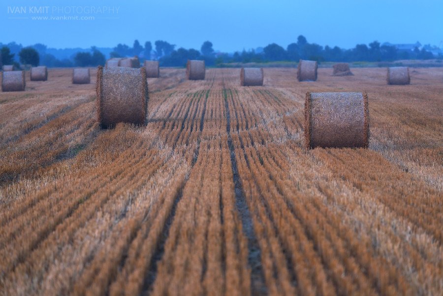 Field07