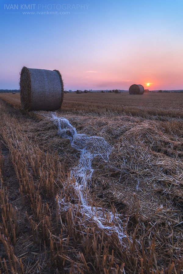 Field09